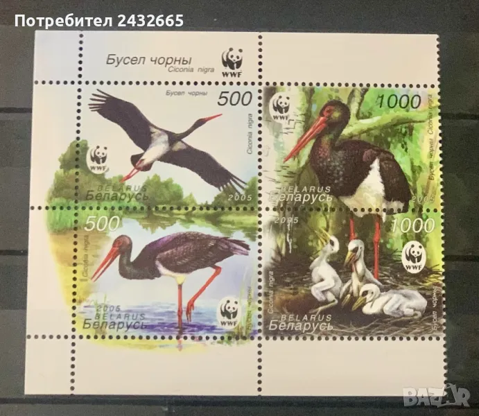 2453.  Беларус 2005 = “ Фауна. WWF : Черен щъркел.“ , **, MNH, снимка 1