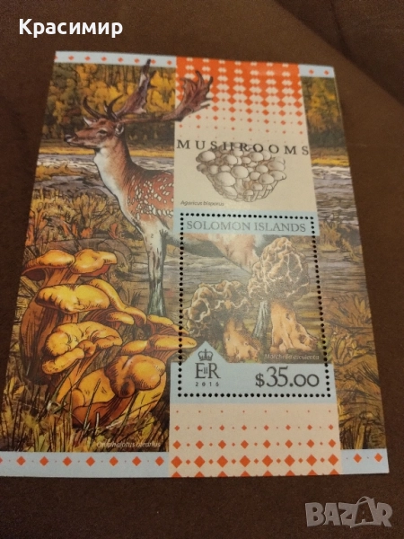 Пощенска марка Соломоновите острови 2016 г., снимка 1