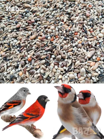 Италианска храна за диви птици PREMIUM 