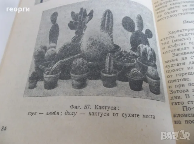 Книга за градиняря, снимка 5 - Други - 55780585