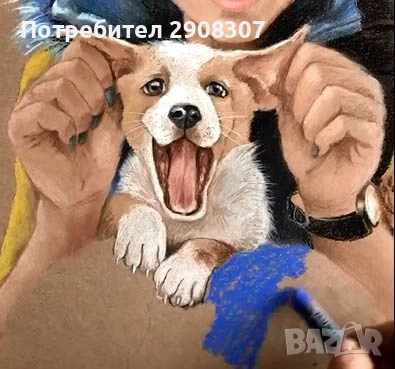 портрет на домашен любимец