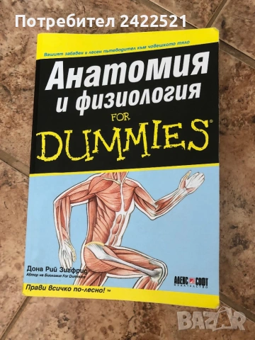 Анатомия и физиология 