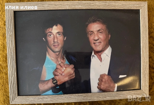 Снимка С.Сталоун 