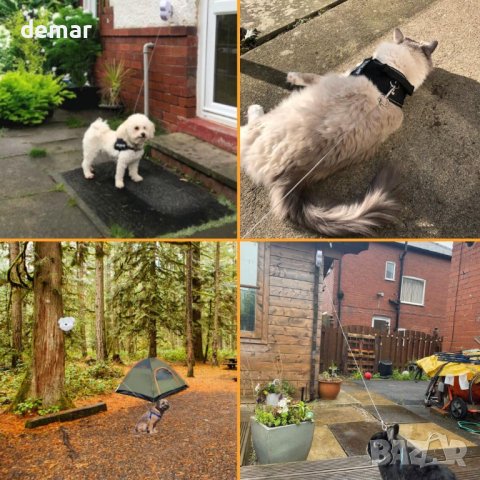 Каишка - повод за двор и градина малки и средни кучета, снимка 7 - За кучета - 42474282