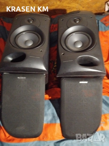 SONY SS H 5900