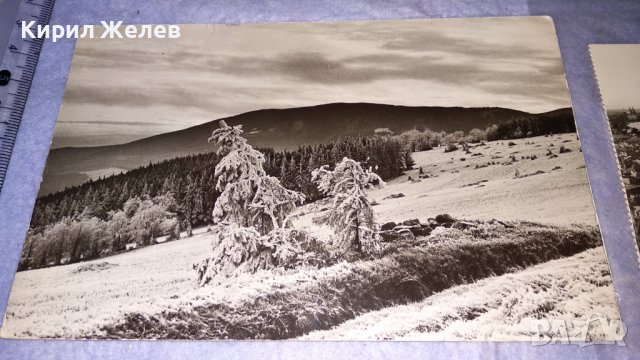 ЛОТ ЧЕТИРИ СТАРИ ПОЩЕНСКИ КАРТИЧКИ БЪЛГАРИЯ и ДРУГИ - ЧЕРЕПИШКИЯТ МАНАСТИР ГРАДОВЕ 33065, снимка 3 - Филателия - 38652718