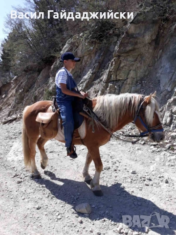 Продавам две  седла, снимка 5 - Други стоки за животни - 52914856