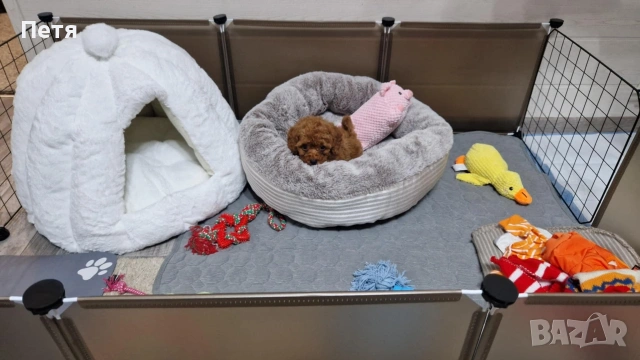 Малки огради за домашни любимци, Облицовани огради, Бариери, снимка 3 - За кучета - 53194171