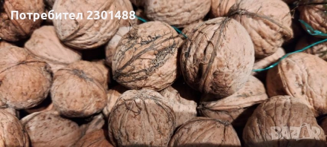 Продавам пресни орехи