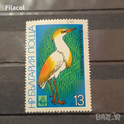 Блатни птици. 1981