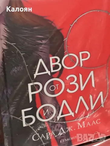 Сара Дж. Маас - Двор от рози и бодли (2016)