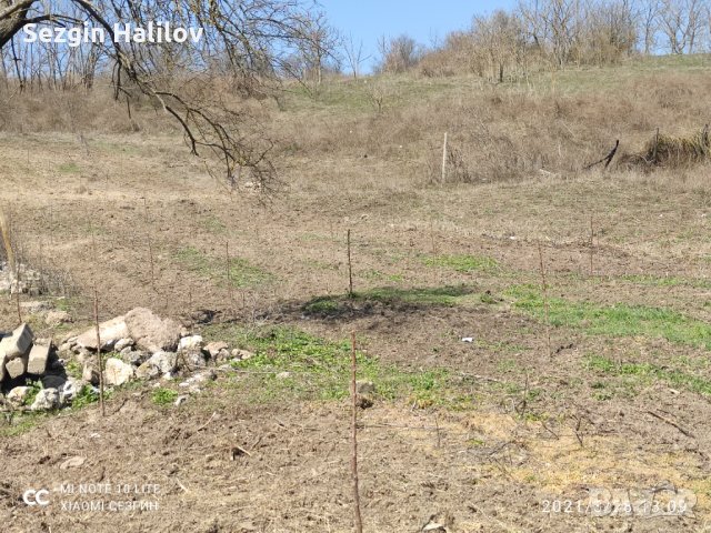 Голям Парцел , снимка 6 - Парцели - 35698745