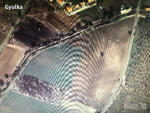 Овощна градина череши от собственик, снимка 16 - Земеделска земя - 26207054