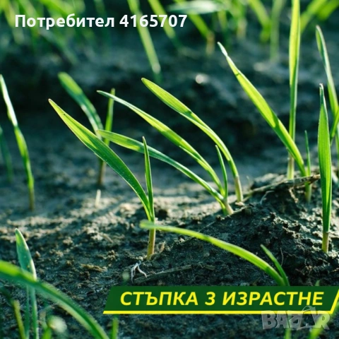 Подложка с тревни семена, биоразградима текстилна подложка, подрязваща се, наторена, снимка 4 - Градински цветя и растения - 53523425