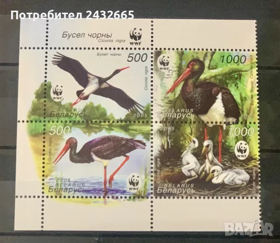 2453.  Беларус 2005 = “ Фауна. WWF : Черен щъркел.“ , **, MNH