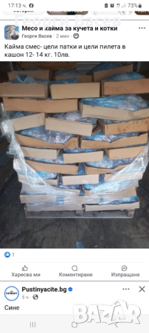 Кайма за кучета 