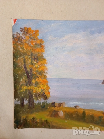 Картина- пейзаж, снимка 7 - Картини - 52933391