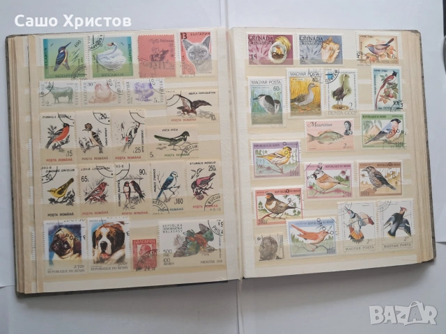 Пощенски марки тема ”Животни”., снимка 6 - Филателия - 53754416