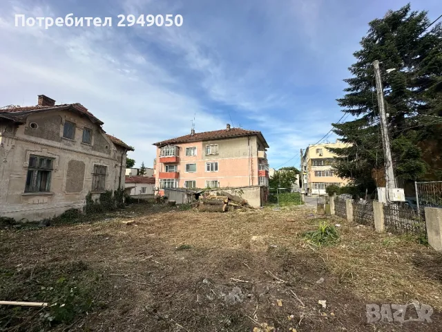 Премахване и кастрене на опасни дървета, снимка 12 - Други услуги - 49334998