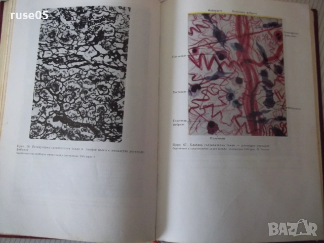 Книга "Цитология и обща хистология-Петко Петков" - 152 стр., снимка 8 - Специализирана литература - 53222142