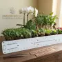 Универсална LED лампа за растения SUNLIGHT 25W PRO 1.0  , снимка 2