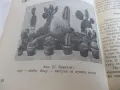 Книга за градиняря, снимка 5