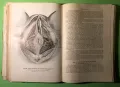 Стара Книга Анатомия ма Човека /Rauber Kopsch, снимка 12