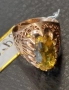 Руски златен пръстен , снимка 3