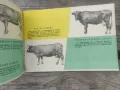 Книга Българското селско и горско стопанство по пътя на социализма 1958, снимка 5