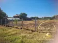 Парцел село Радиево, снимка 4