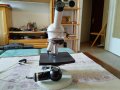 Стар полски микроскоп, снимка 14