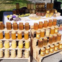 Пчеле мед от регистринан пчелин, снимка 9 - Пчелни продукти - 41851402