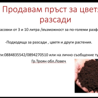 Продавам почва за цветя и разсади, снимка 1 - Разсади - 44324000
