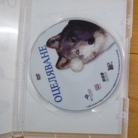 Оцеляване DVD филм Сървайвър диви животно дива природа, снимка 2 - DVD филми - 42451020