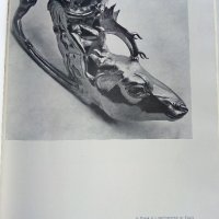 Панагюрското златно съкровище - И.Венедиков - 1961г., снимка 7 - Колекции - 38775442