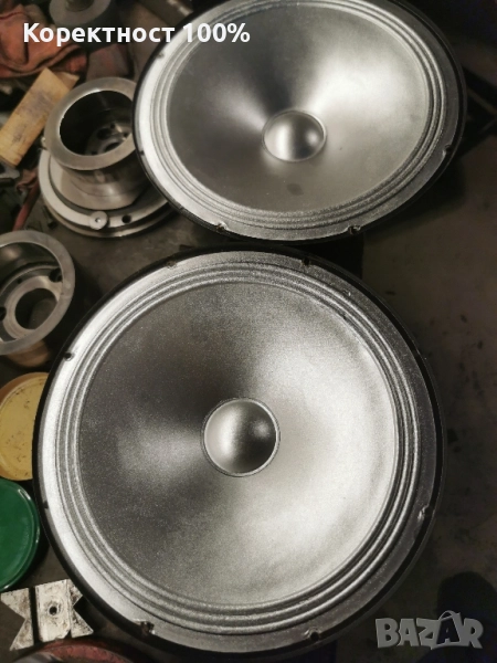 Говорители 10 инча  (тонколони), снимка 1