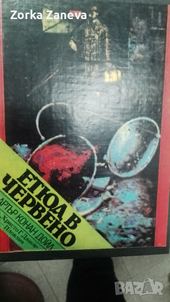 Етюд в червено, снимка 1