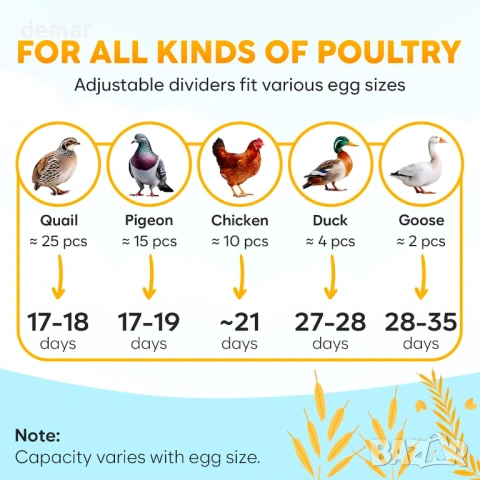 Инкубатор за яйца M12, автоматично обръщане и контрол на влажността, снимка 6 - За птици - 53645117