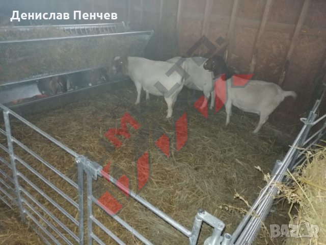Прегради за овце и кози, снимка 6 - За селскостопански - 34655271