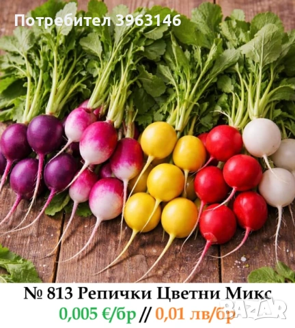 Семена за Стотинки, снимка 11 - Сортови семена и луковици - 52838410