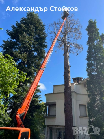 Автовишки под наем, снимка 8 - Други услуги - 53622517