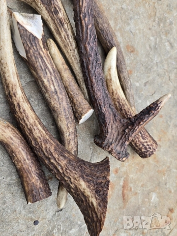 Лот от 8бр Еленски рокца , снимка 2 - Други - 52033288