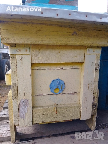 Пчелни кошери от военни сандъци, снимка 5 - Други животни - 53355959