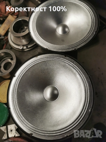 Говорители 10 инча  (тонколони)