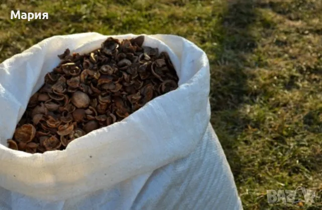 Орехови черупки/100гр., снимка 1