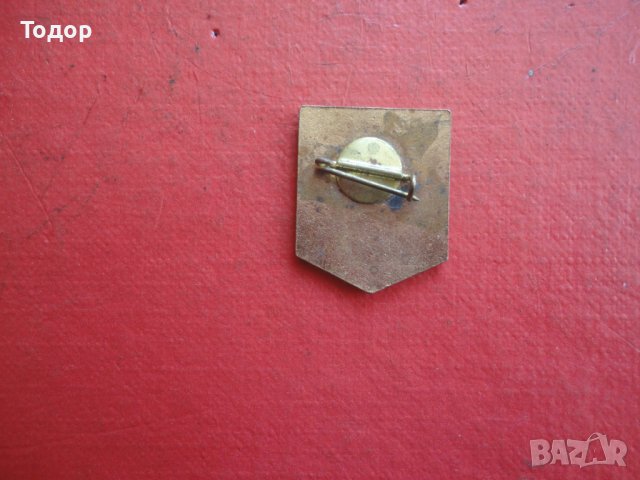 Старинен знак значка бронз емайл 3 , снимка 7 - Колекции - 42197938