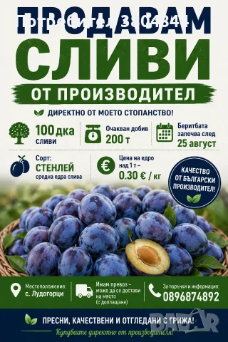 Сини сливи 0.30 цента