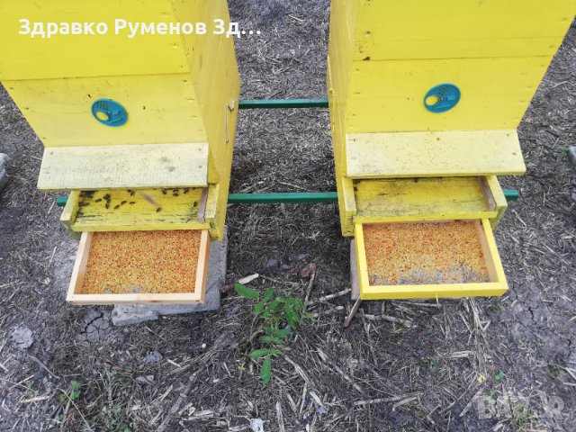 Пчелен прашец - 2025 година, снимка 2 - Пчелни продукти - 41354145