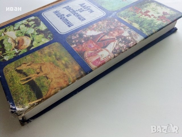 Албум за растения и животни - Н.Боев,С.Петров,П.Кръстев - 1976г., снимка 13 - Енциклопедии, справочници - 40616804