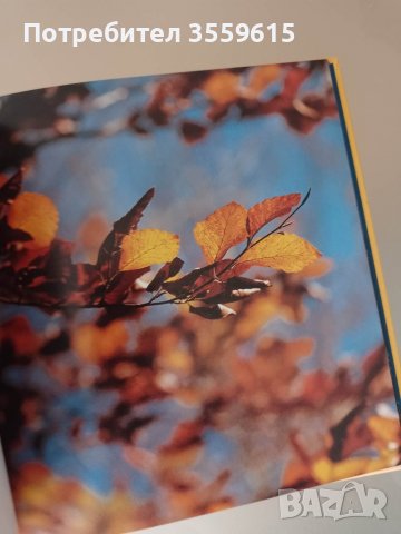 уникална немска книга за природата със стотици красиви снимки, снимка 2 - Други - 38918716